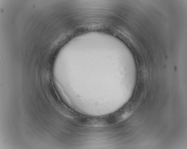 X0000077400499200611172107