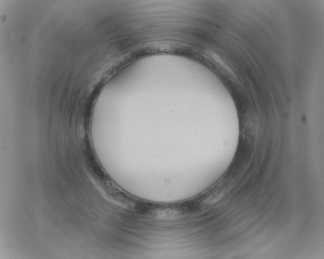 X0000077400500200611172107