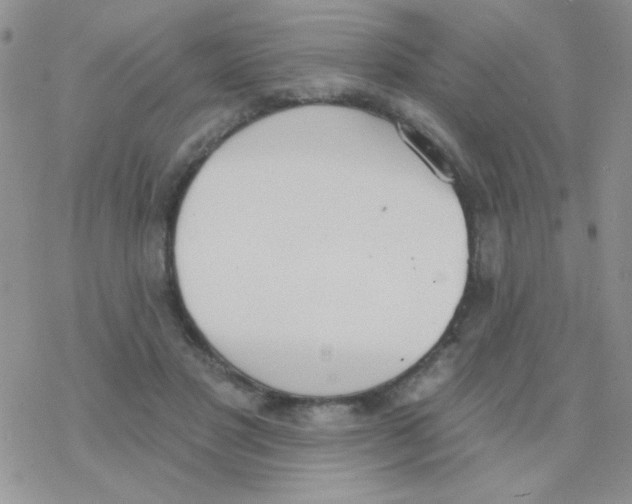 X0000077400501200611172107