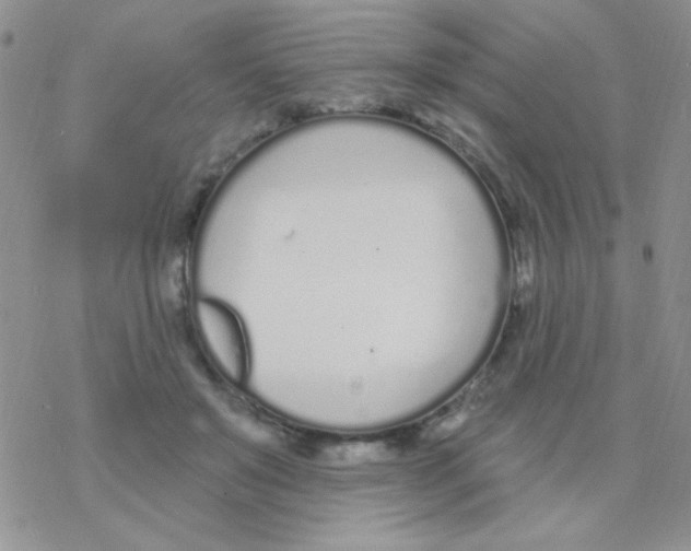 X0000077400503200611172107