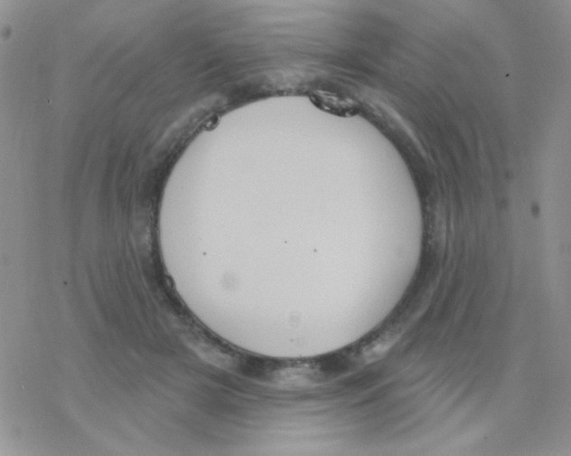 X0000077400505200611172107