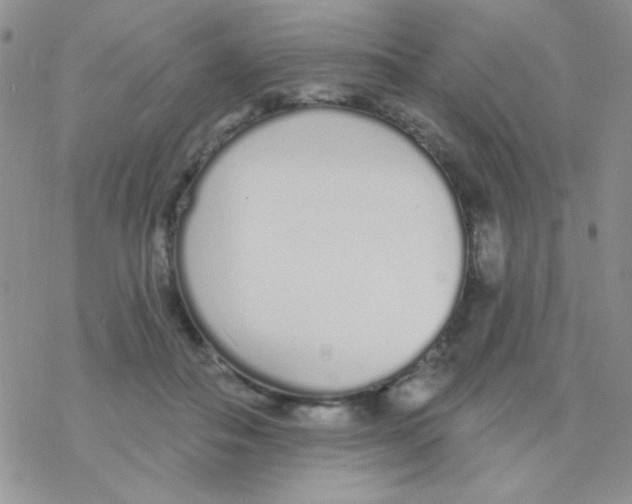 X0000077400506200611172107