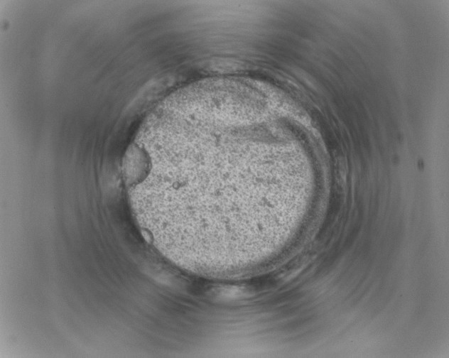 X0000077400507200611172107