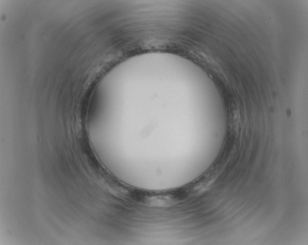 X0000077400508200611172107