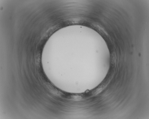 X0000077400509200611172107