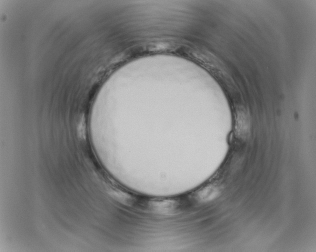 X0000077400510200611172107