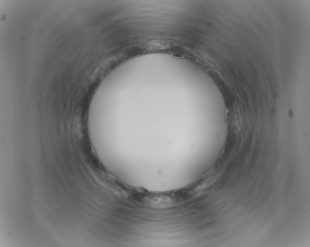 X0000077400512200611172107