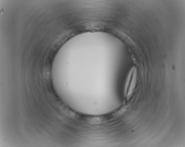 X0000077400513200611172107