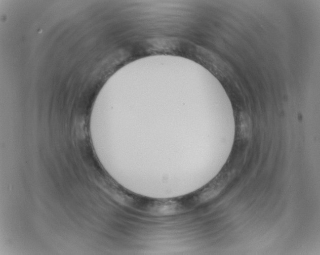 X0000077400514200611172107