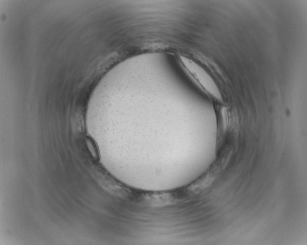 X0000077400517200611172107