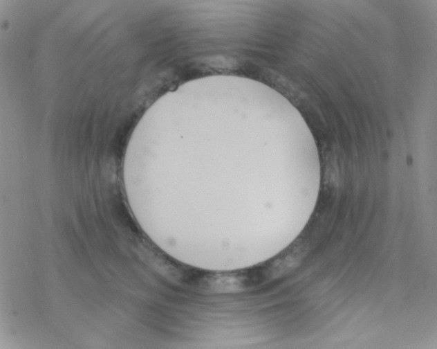 X0000077400518200611172107