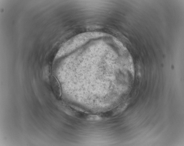 X0000077400519200611172107