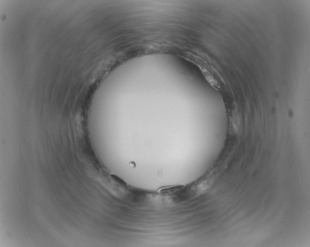 X0000077400520200611172107