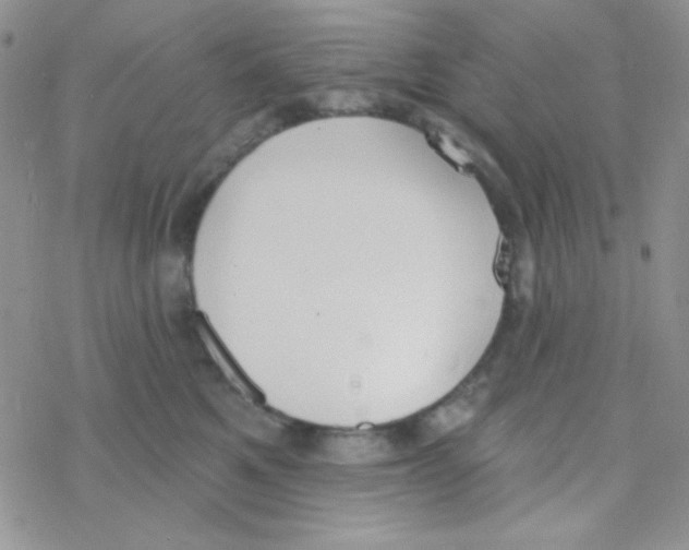 X0000077400521200611172107