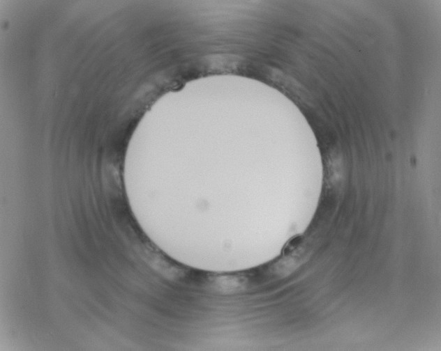 X0000077400522200611172107