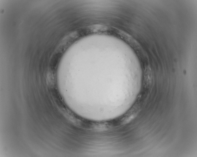 X0000077400523200611172107