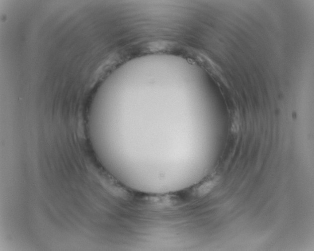 X0000077400524200611172107