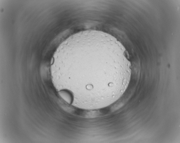 X0000077400527200611172107