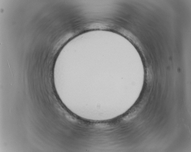 X0000077400529200611172106