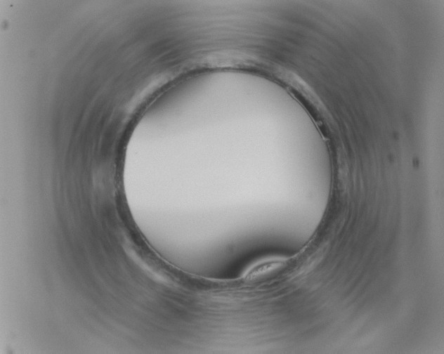 X0000077400530200611172106