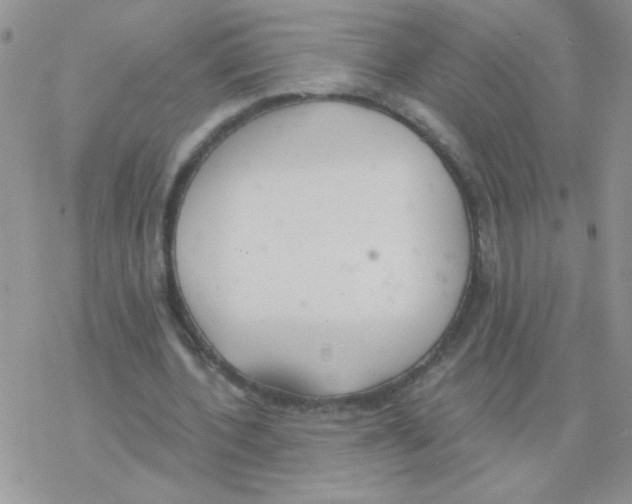 X0000077400532200611172106