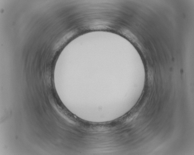 X0000077400533200611172106