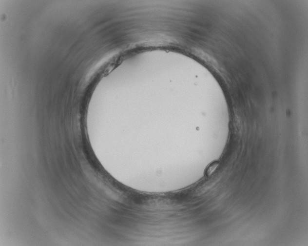 X0000077400535200611172106