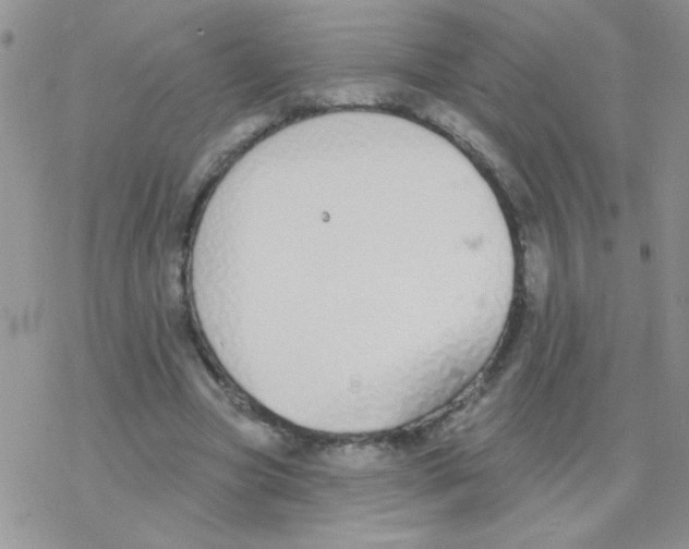 X0000077400537200611172106