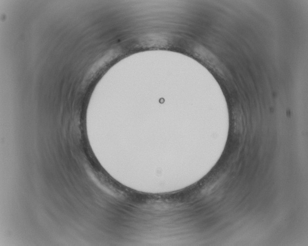 X0000077400538200611172106