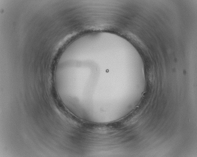 X0000077400540200611172106