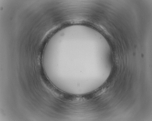 X0000077400543200611172106