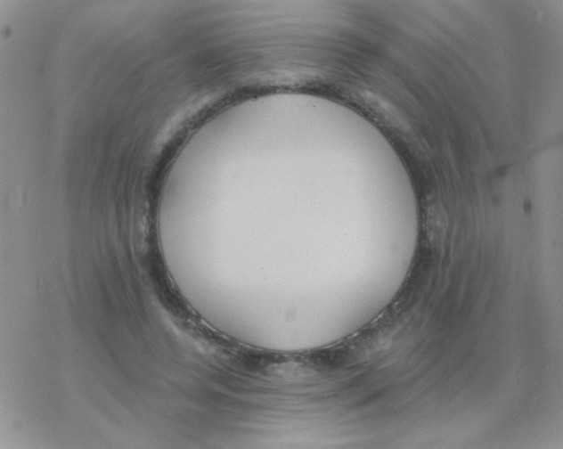 X0000077400544200611172106