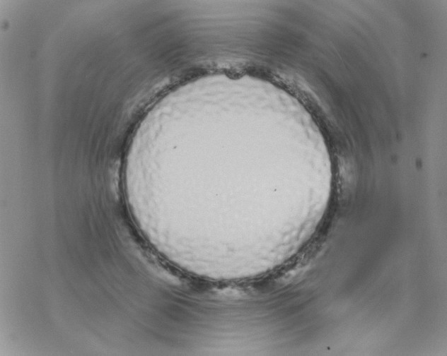 X0000077400545200611172106