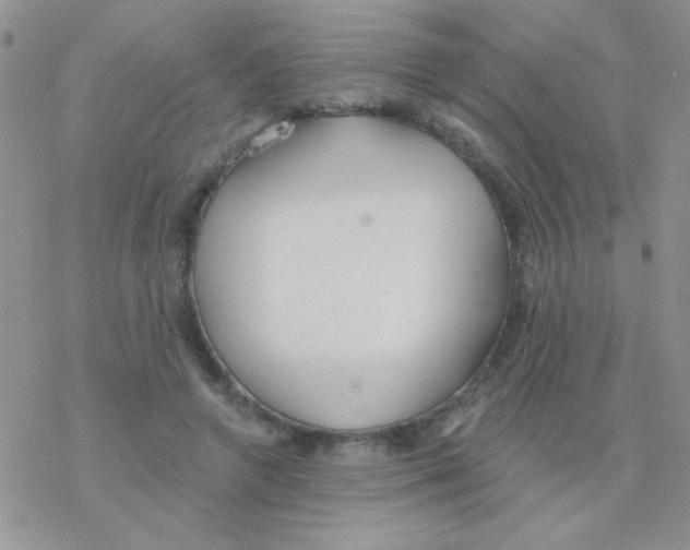 X0000077400546200611172106