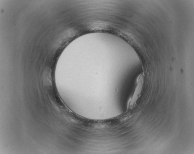 X0000077400547200611172106