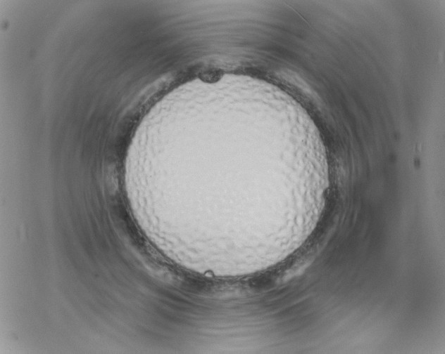 X0000077400549200611172106