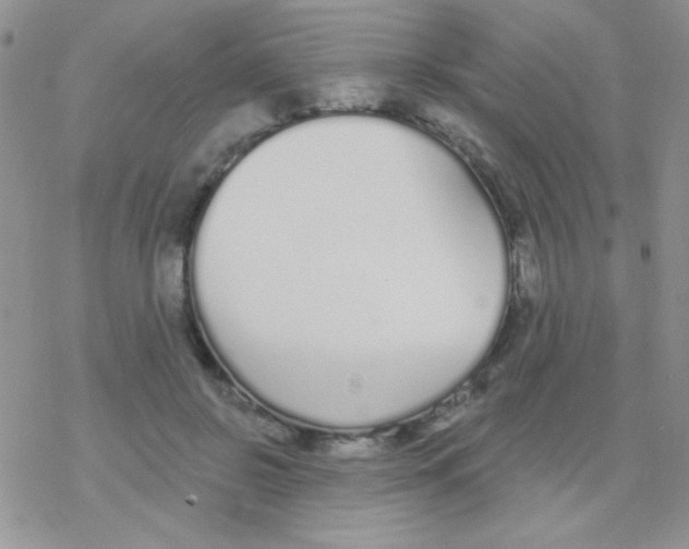 X0000077400550200611172107