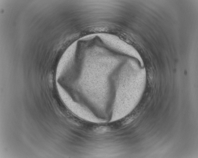 X0000077400551200611172107