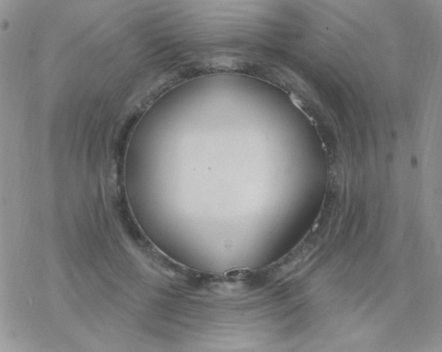 X0000077400552200611172107