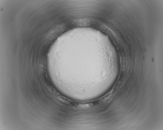 X0000077400553200611172107