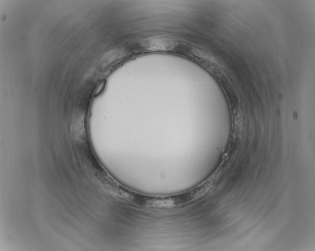 X0000077400554200611172107