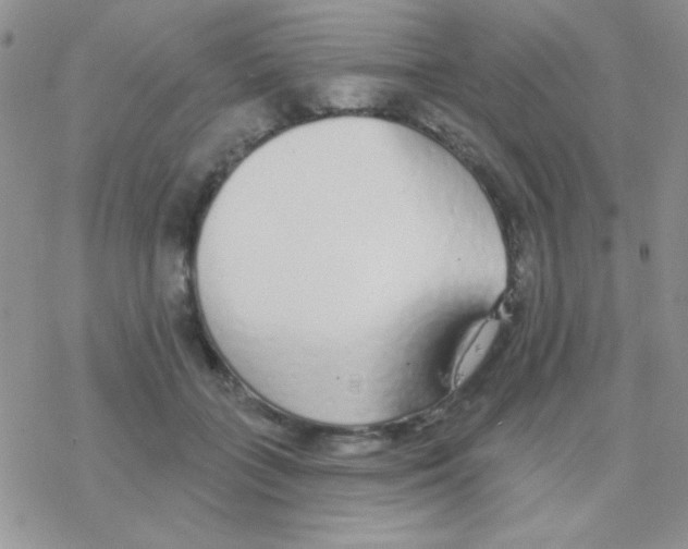 X0000077400555200611172107