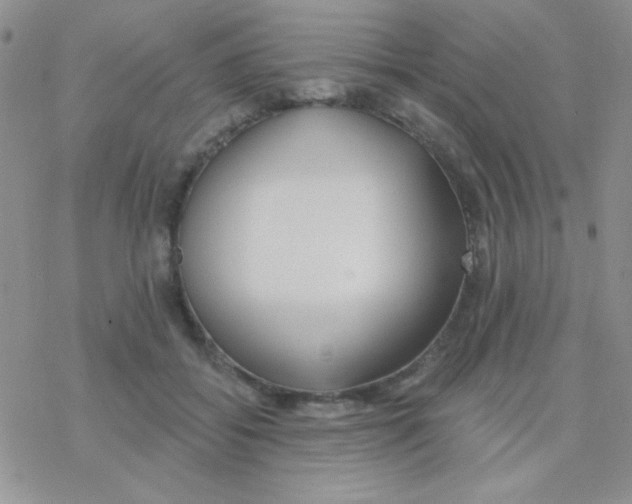 X0000077400556200611172107