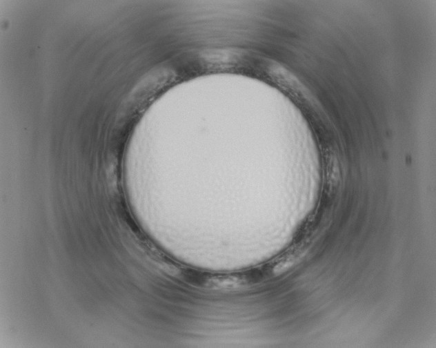 X0000077400557200611172107