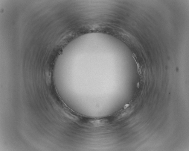 X0000077400558200611172107