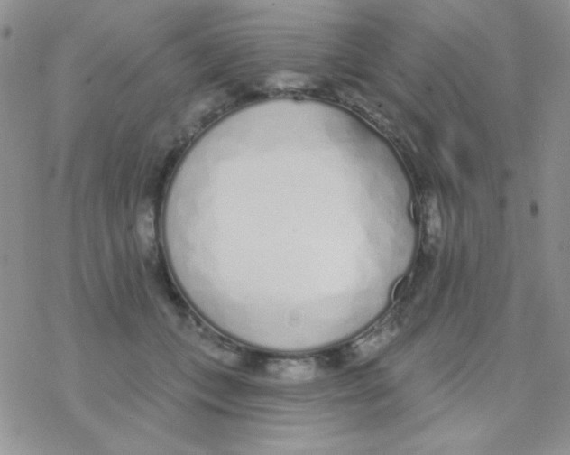 X0000077400559200611172107