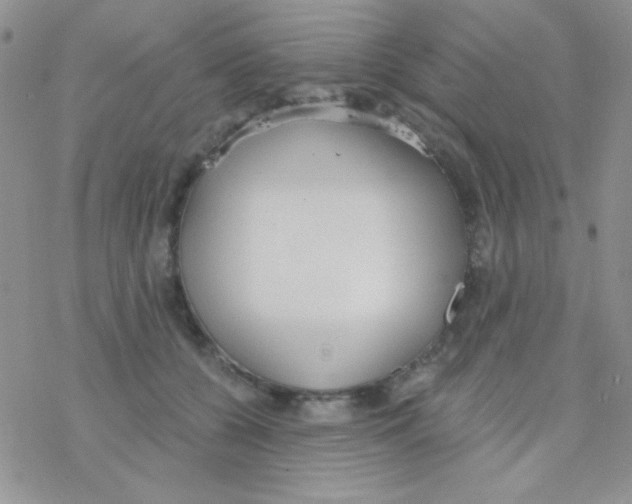 X0000077400560200611172107