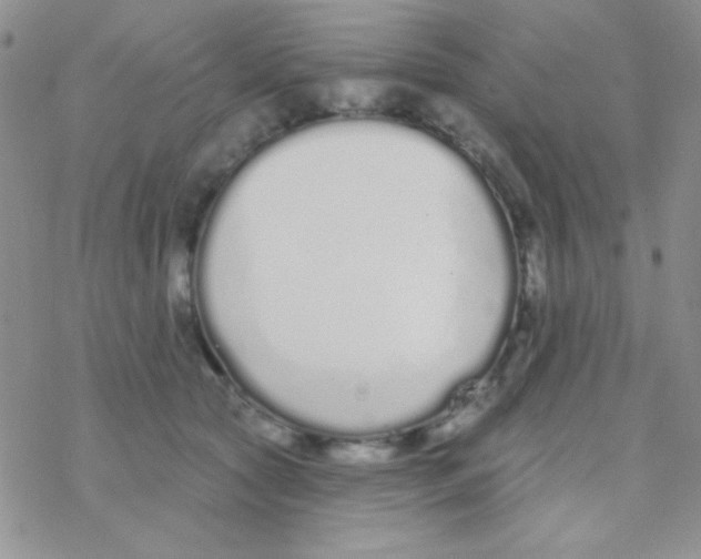 X0000077400561200611172107