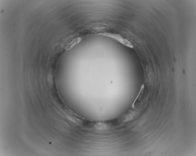 X0000077400562200611172107