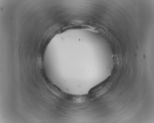 X0000077400564200611172107